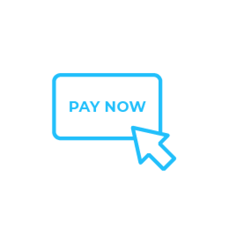 Blue Pay Now Icon